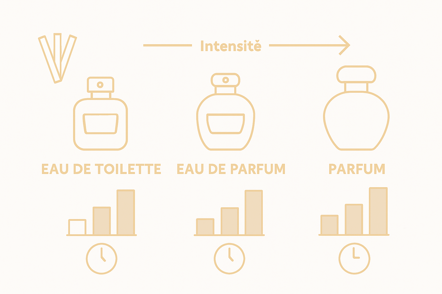 Overzicht: de verschillende soorten parfums op een rijtje