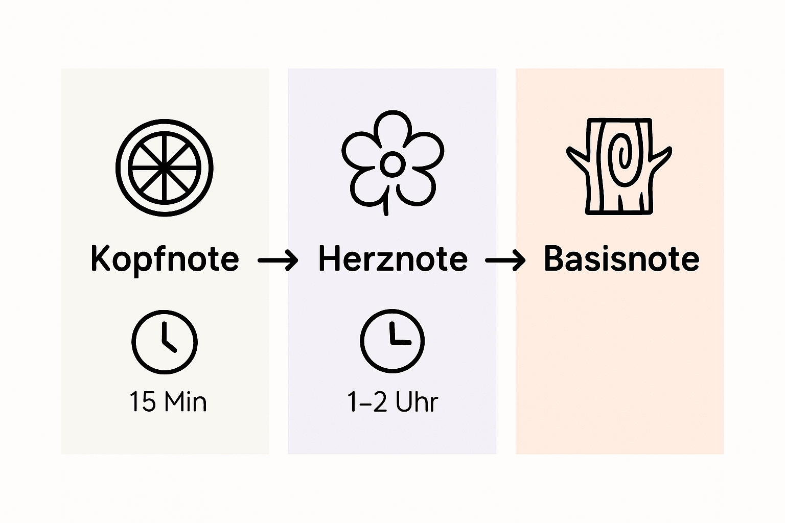 Übersicht der Duftnoten und ihrer Haltbarkeit