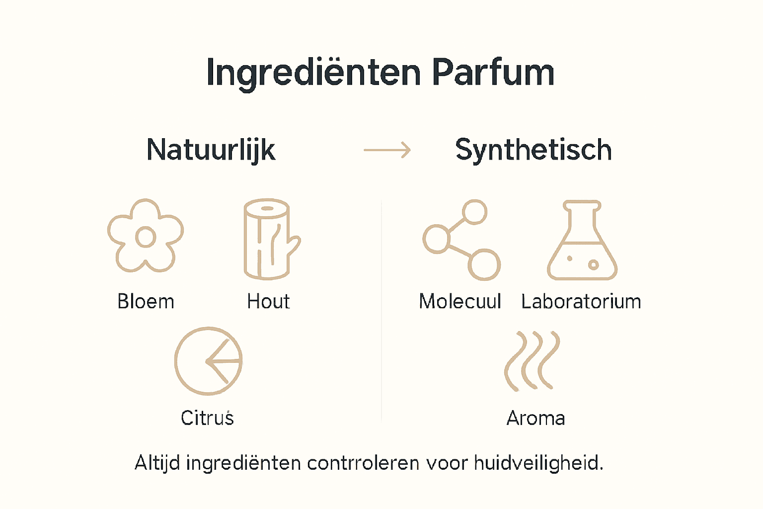 Infographic: het verschil tussen natuurlijke en synthetische ingrediënten