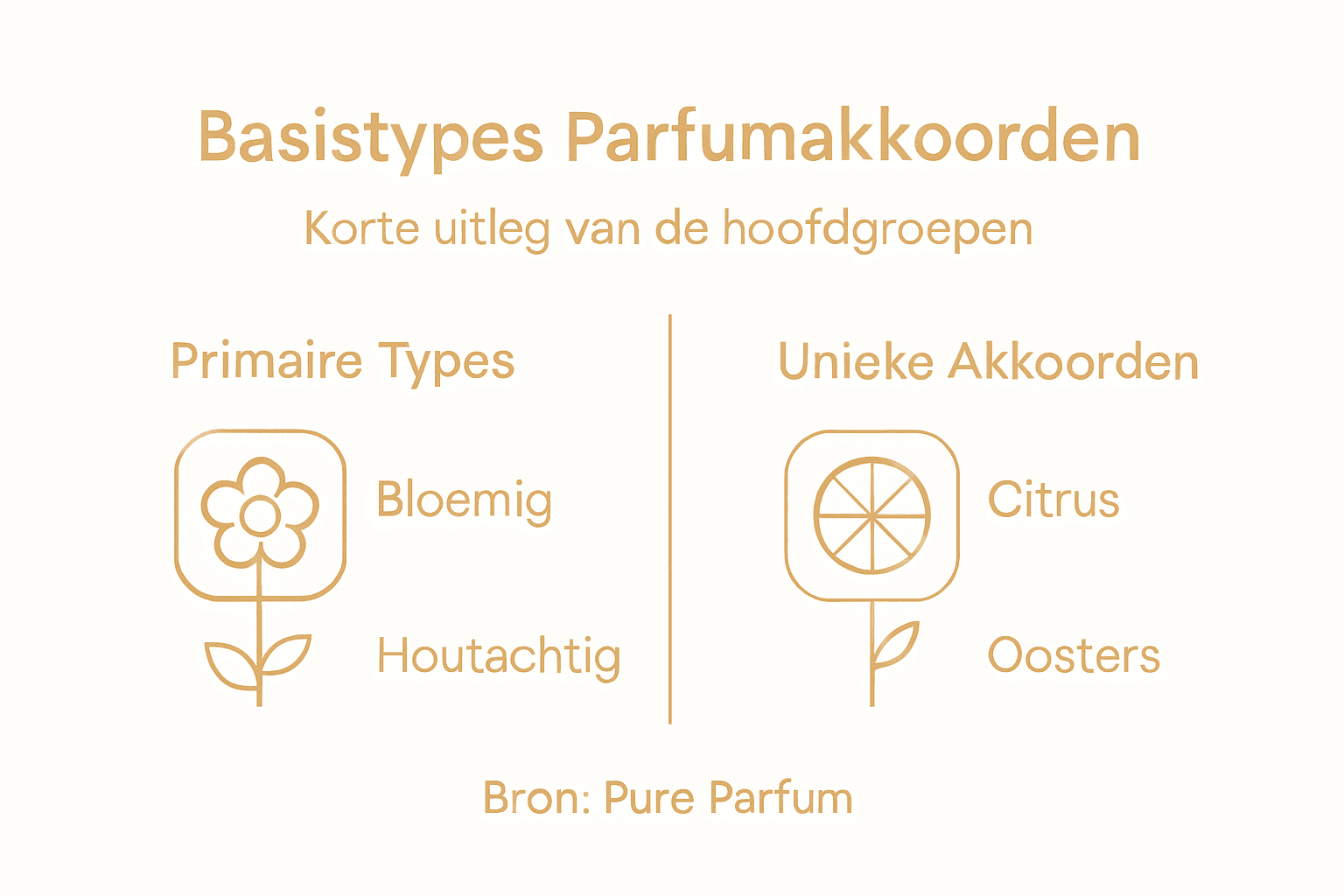 Infographic met de belangrijkste parfumakkoorden