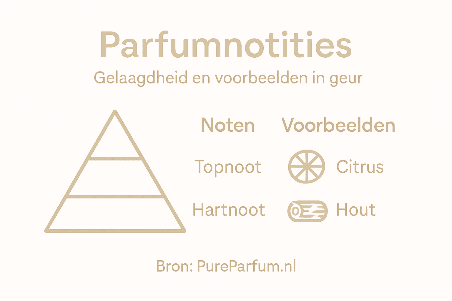 Overzichtelijke infographic met alle parfumgeuren op een rij