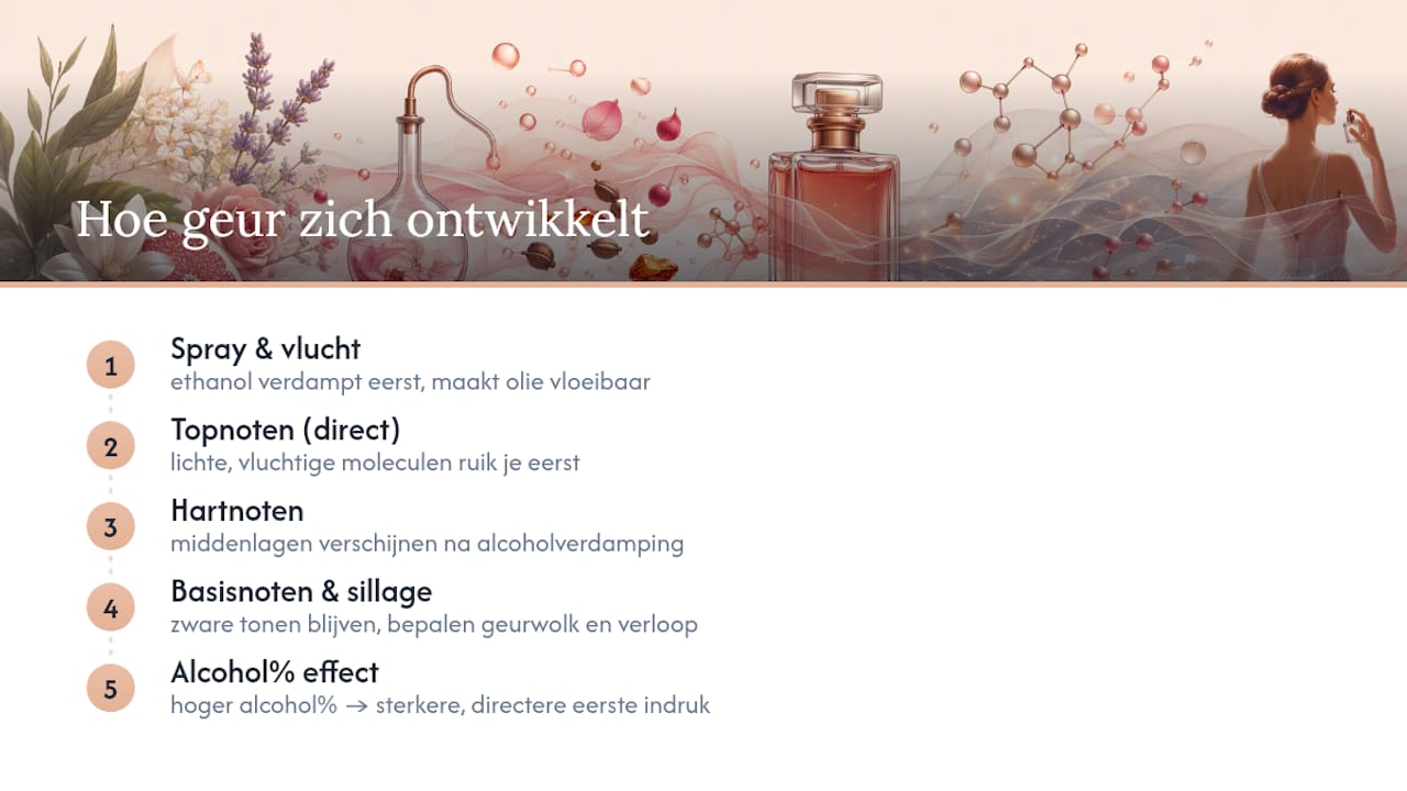 Vývoj vůně od odpařování alkoholu až po základní tóny
