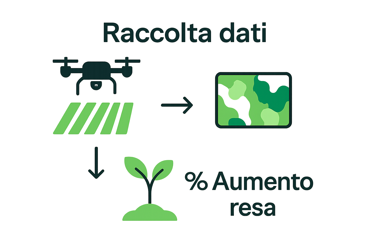 Infografica sulle fasi ottimizzazione agricoltura con droni