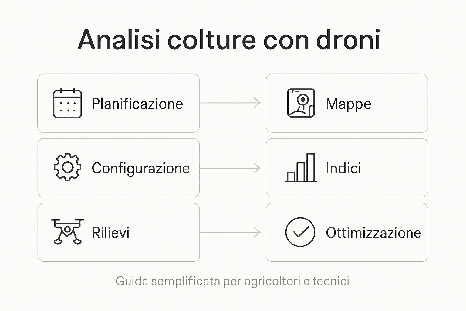 Infografica che illustra le fasi dell’analisi delle coltivazioni agricole