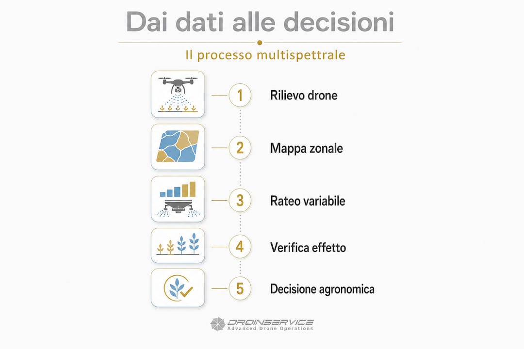Schema illustrativo delle fasi del processo multispettrale in agricoltura