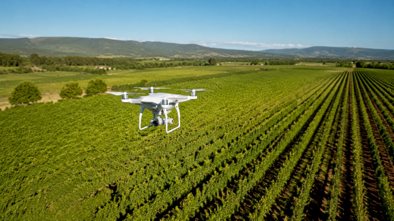 Un drone sorvola un campo coltivato per realizzare una mappatura dettagliata del terreno.