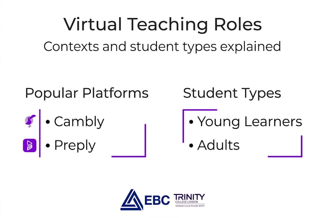 Infographic showing virtual teaching roles and contexts
