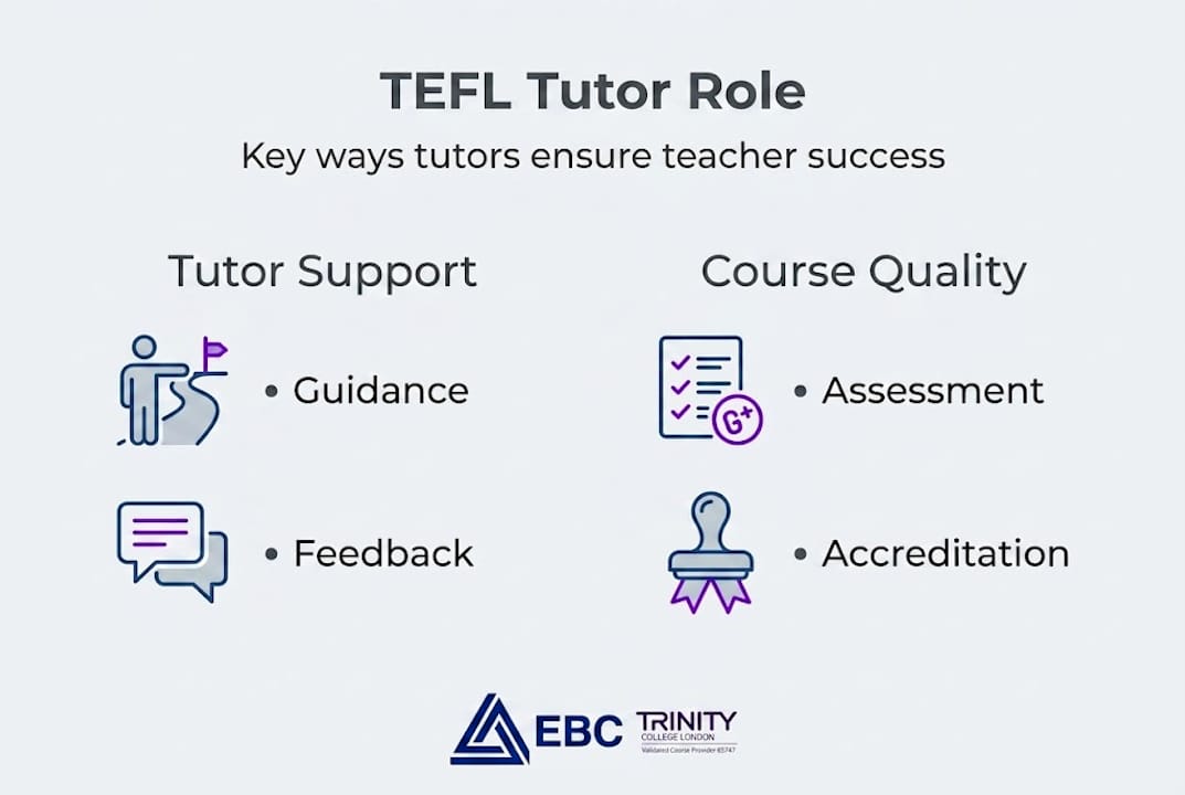 Infographic showing TEFL tutor roles and benefits