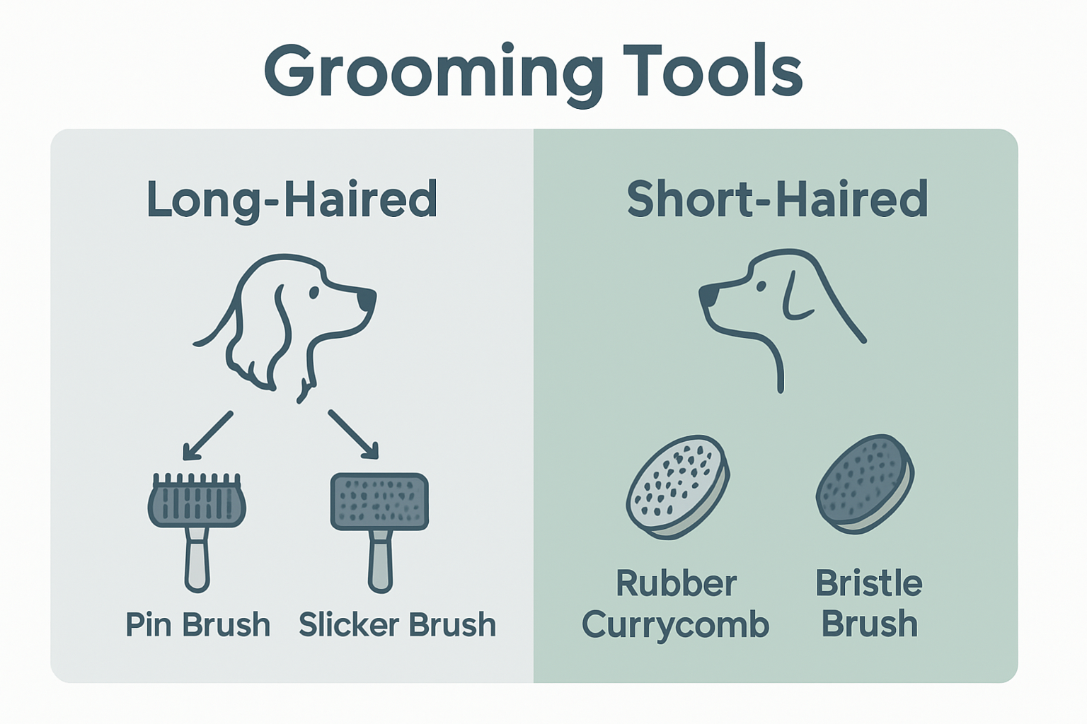 Infographic comparing grooming tools for long-haired and short-haired pets