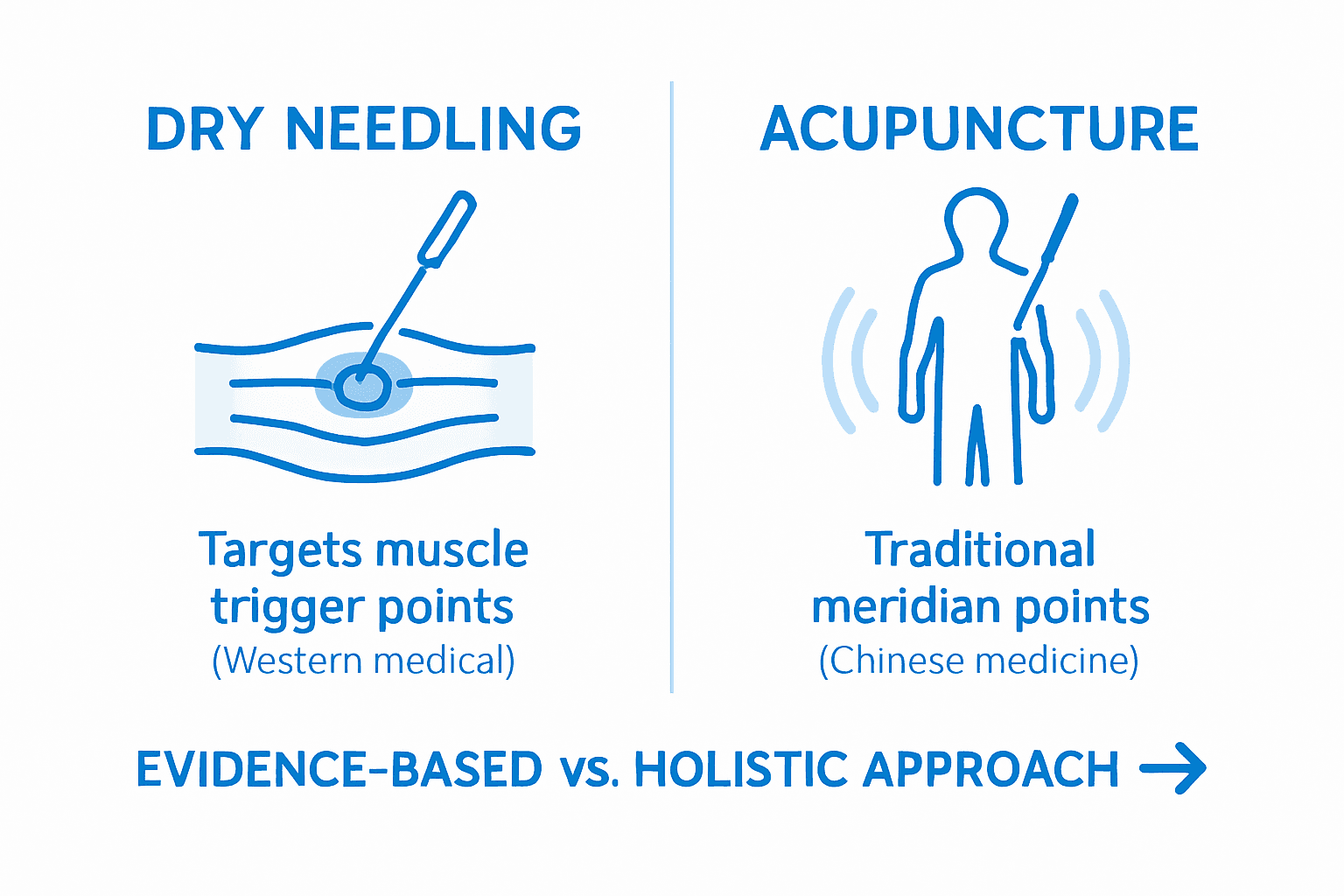 Comparison dry needling and acupuncture features