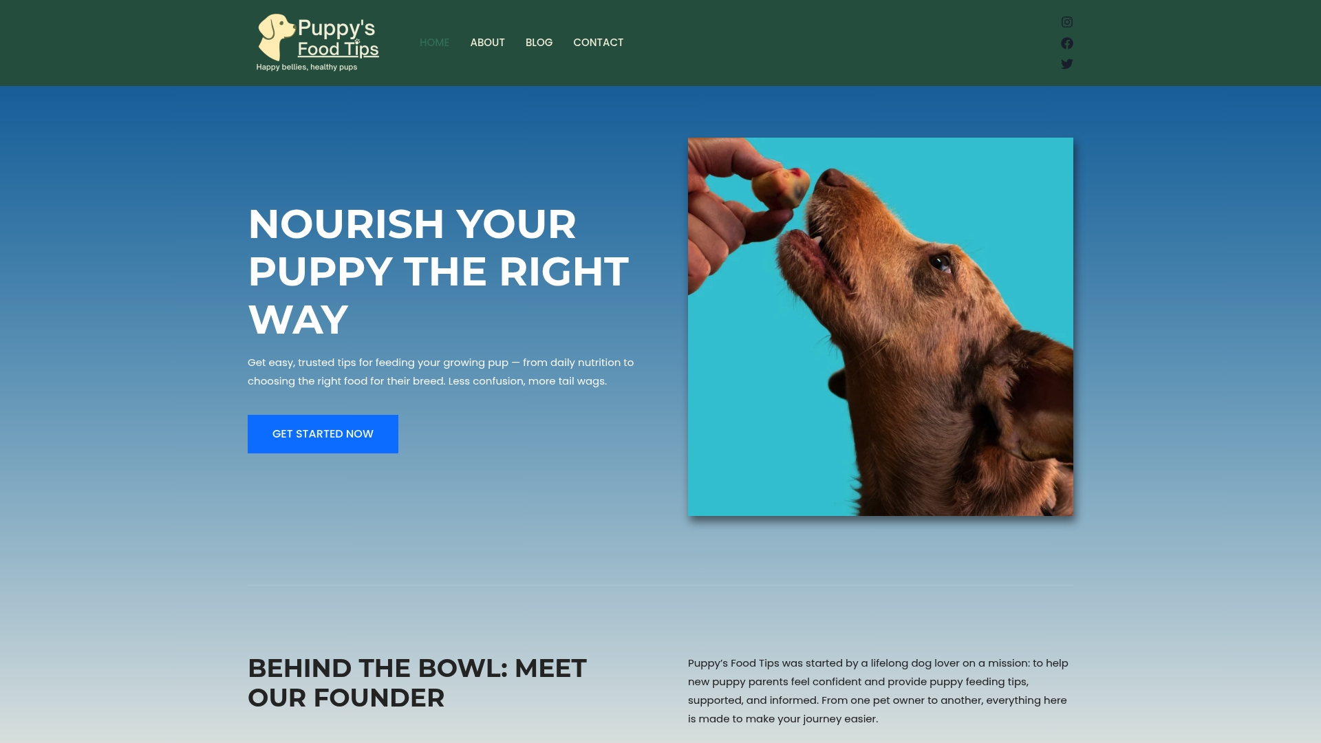 https://puppysfoodtips.com