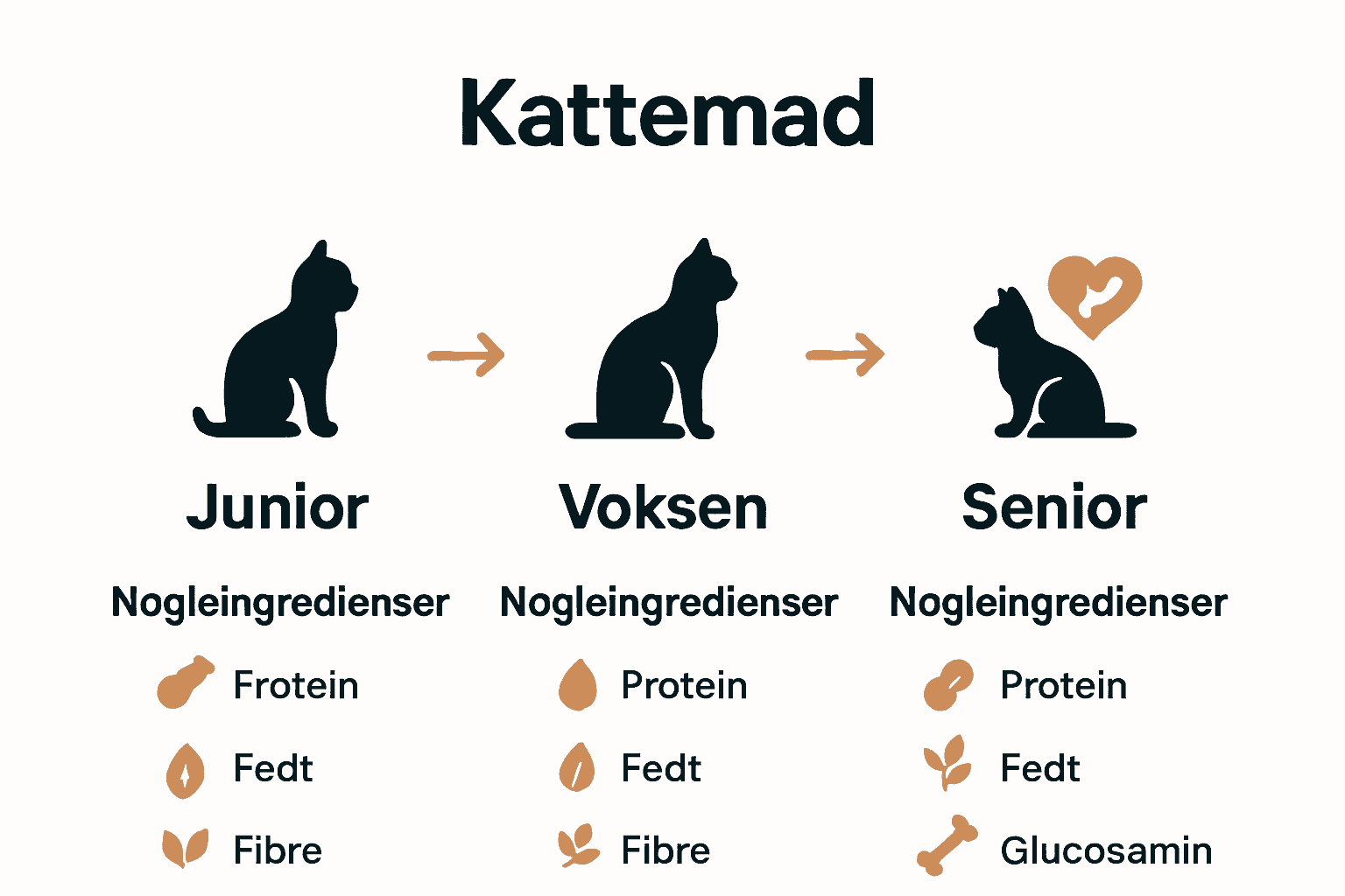 Infografik over forskelle på kattefoder til forskellige livsstadier.