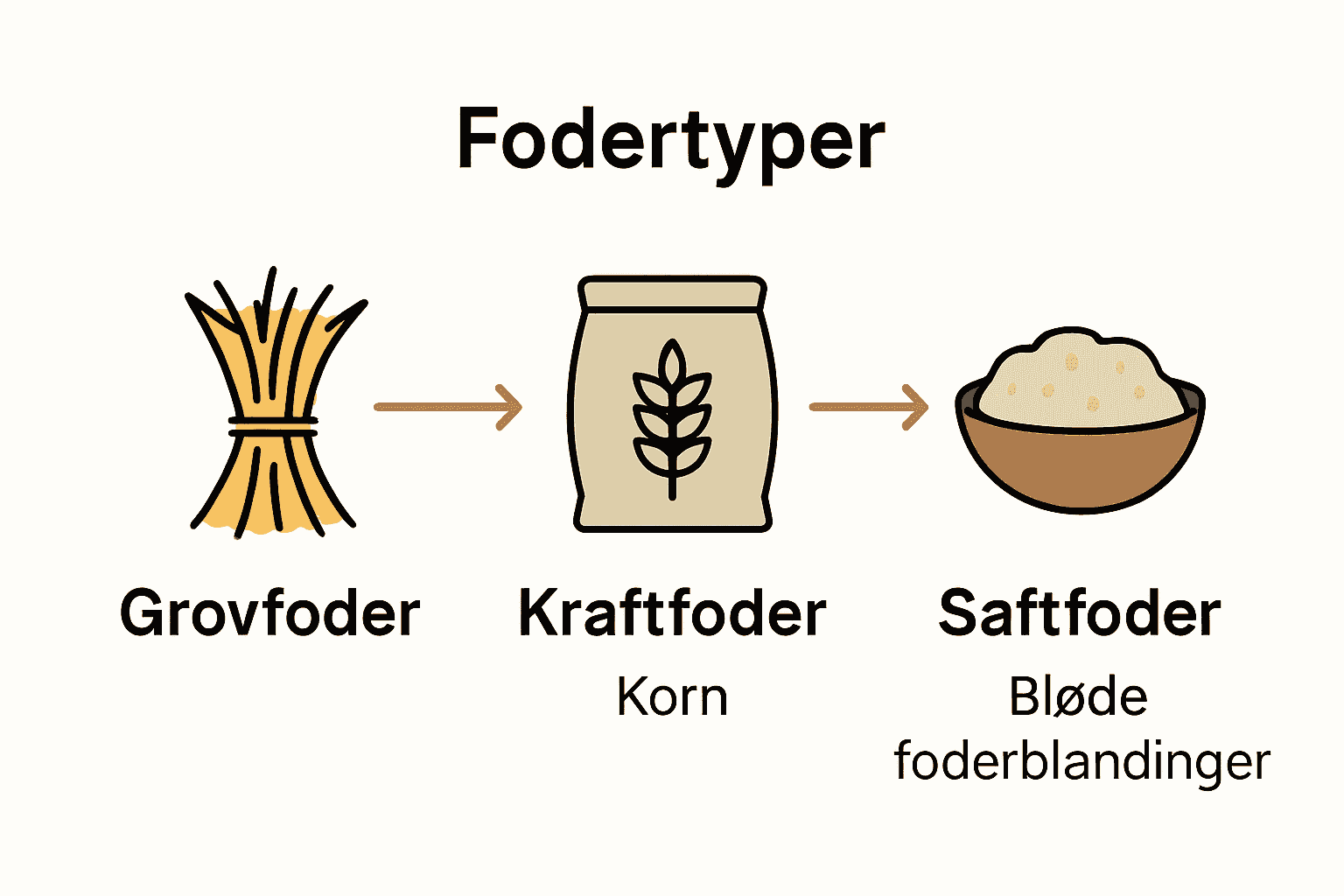 Visuel sammenligning af grovfoder, kraftfoder og saftfoder til heste.