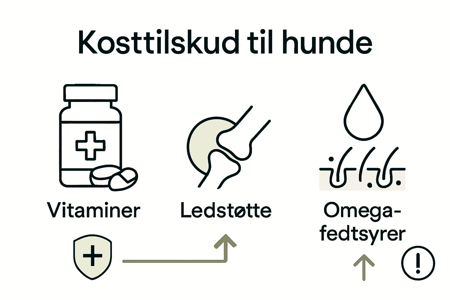 Infografik: Typer kosttilskud og deres fordele for hunde.