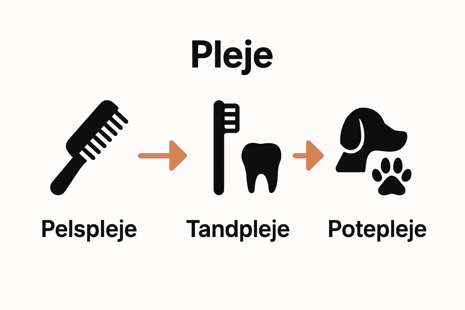 Infografik med ikon for pelspleje, tandpleje og potepleje til hund