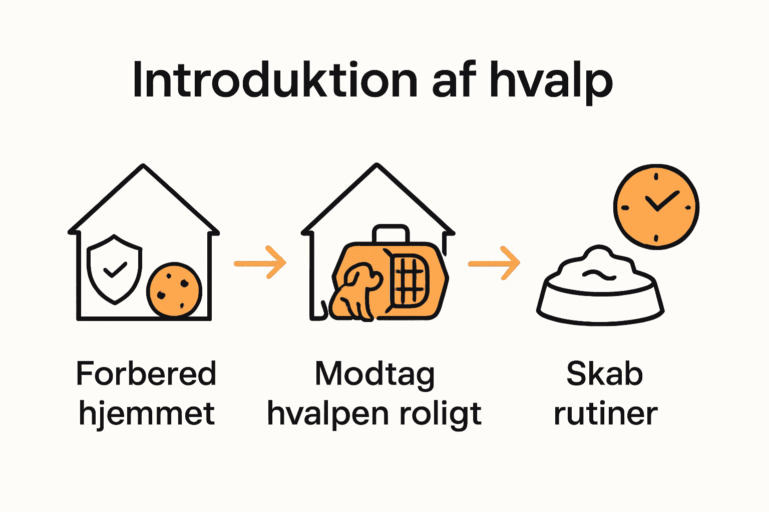 Infografik med tre trin til hvalpens trygge start
