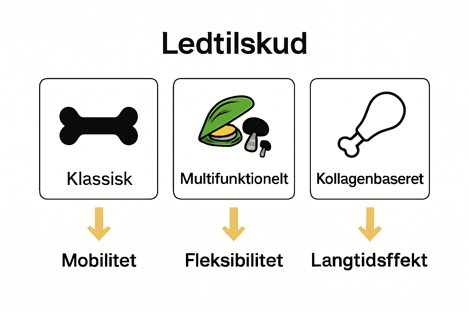 Infografik sammenligner tre typer ledtilskud til hunde