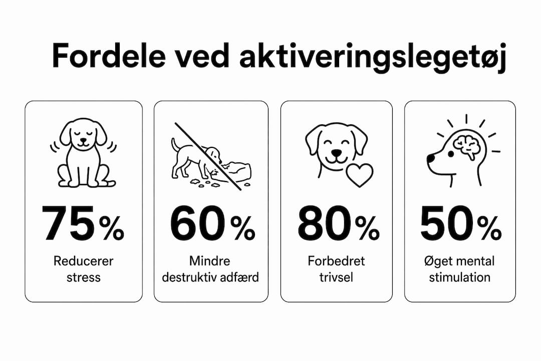Se vores infografik: Derfor er aktiveringslegetøj godt for dit kæledyr