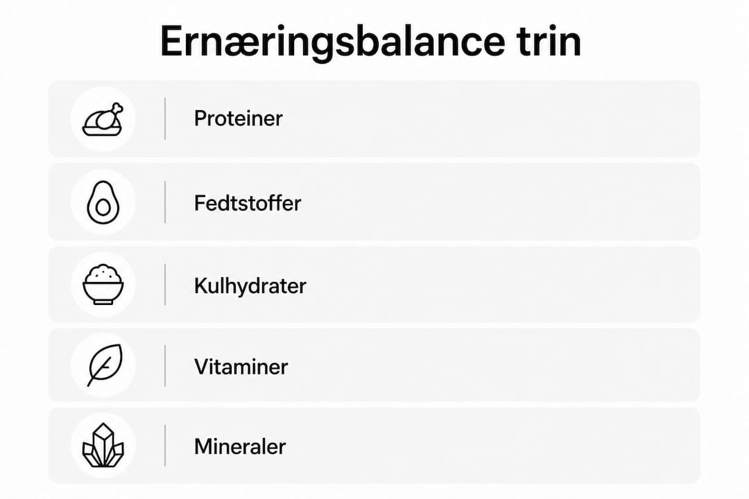Oversigt: Sådan sikrer du din hund en sund og afbalanceret kost – trin for trin