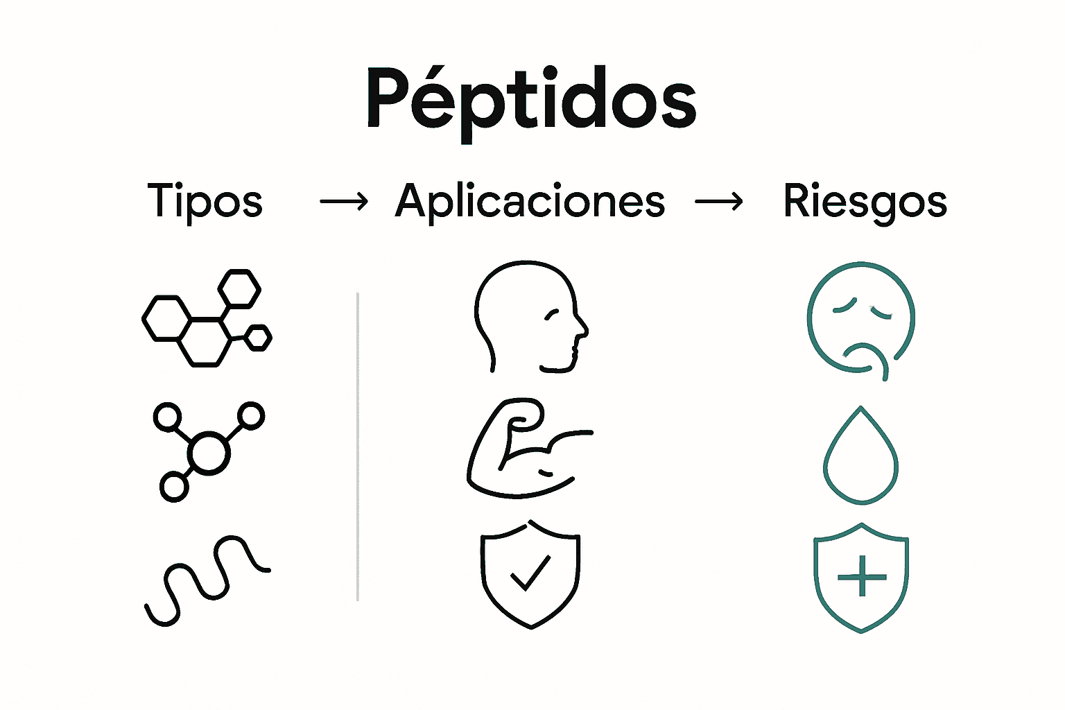 Infografía sencilla de tipos, usos y riesgos de péptidos