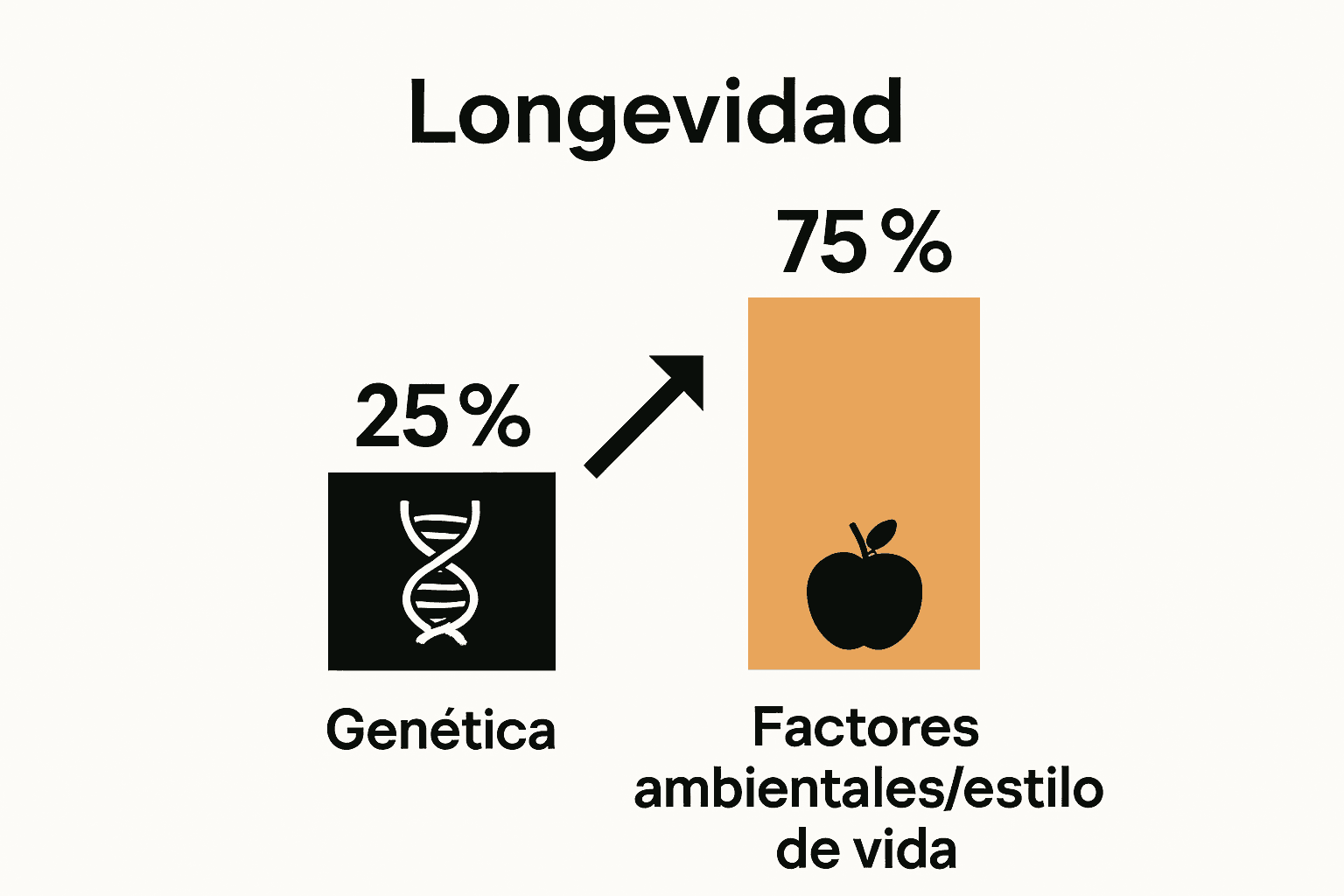 Infografía mostrando impacto de genética versus estilo de vida en la longevidad.