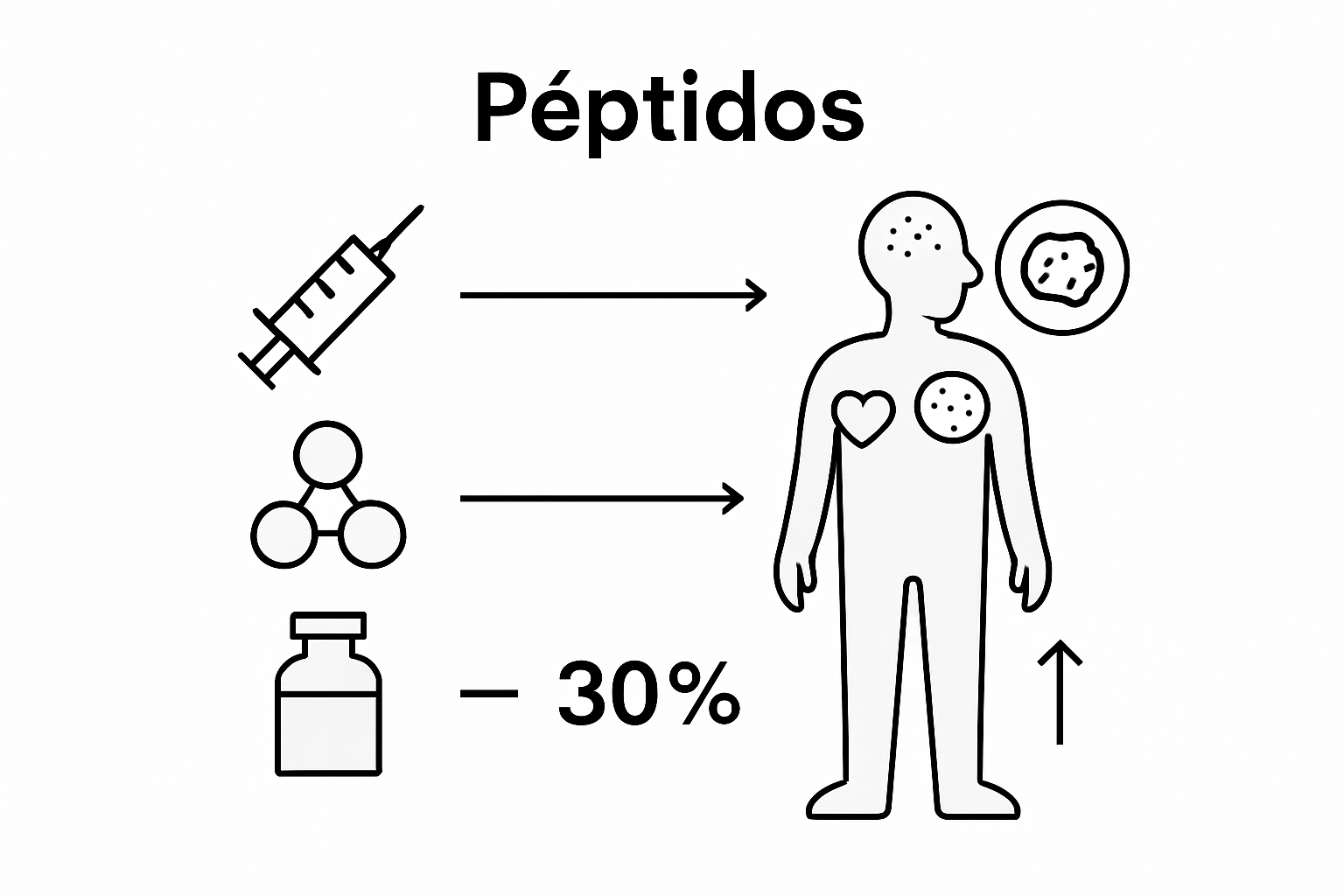 Diferencias entre los péptidos y sus efectos rejuvenecedores