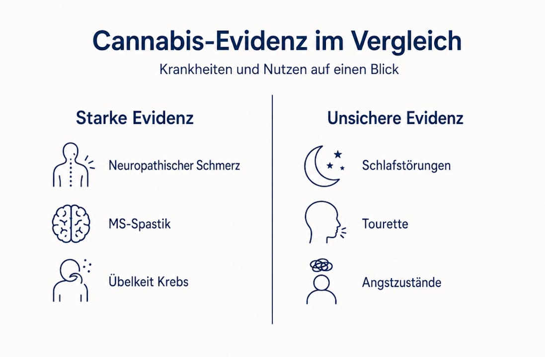 Übersicht: Wissenschaftliche Erkenntnisse zum Einsatz von Cannabis bei verschiedenen Krankheitsbildern