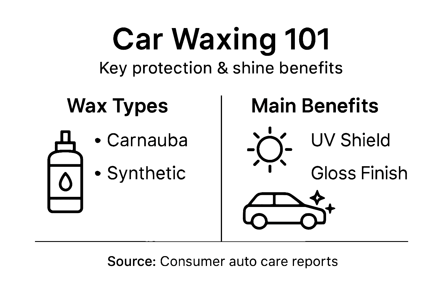 Infographic showing car wax types and benefits
