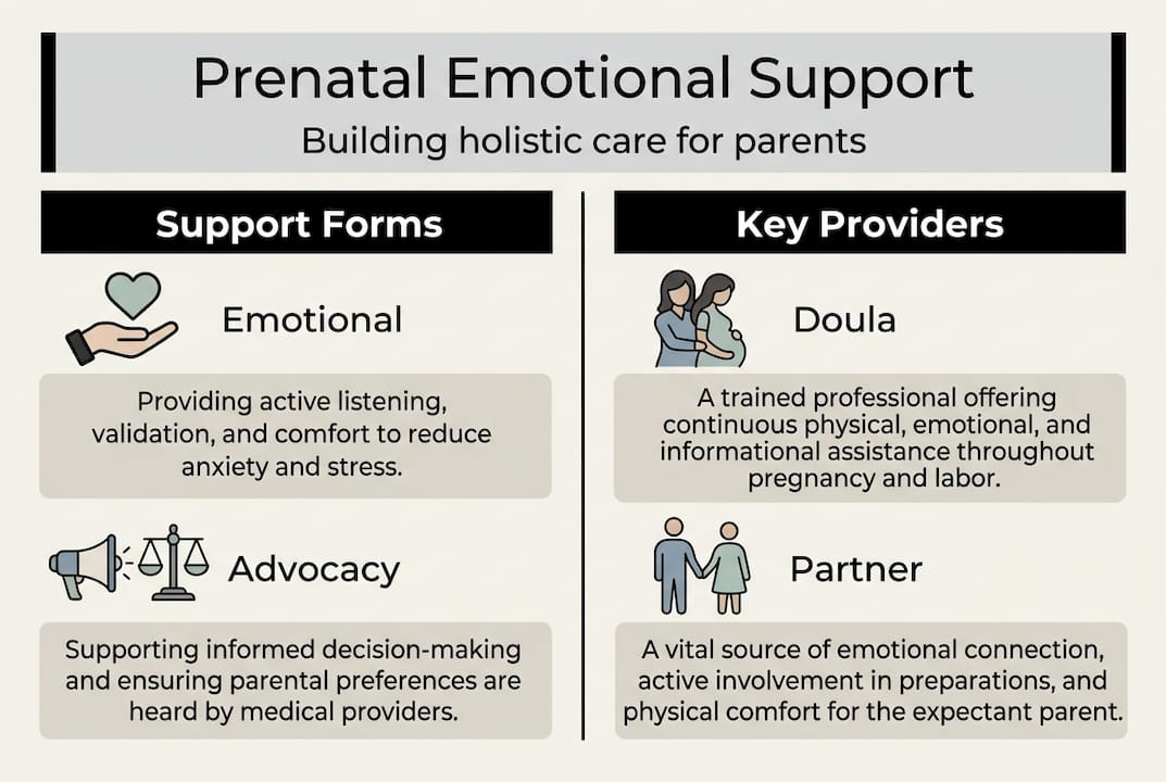 Infographic summarizing types and providers of support