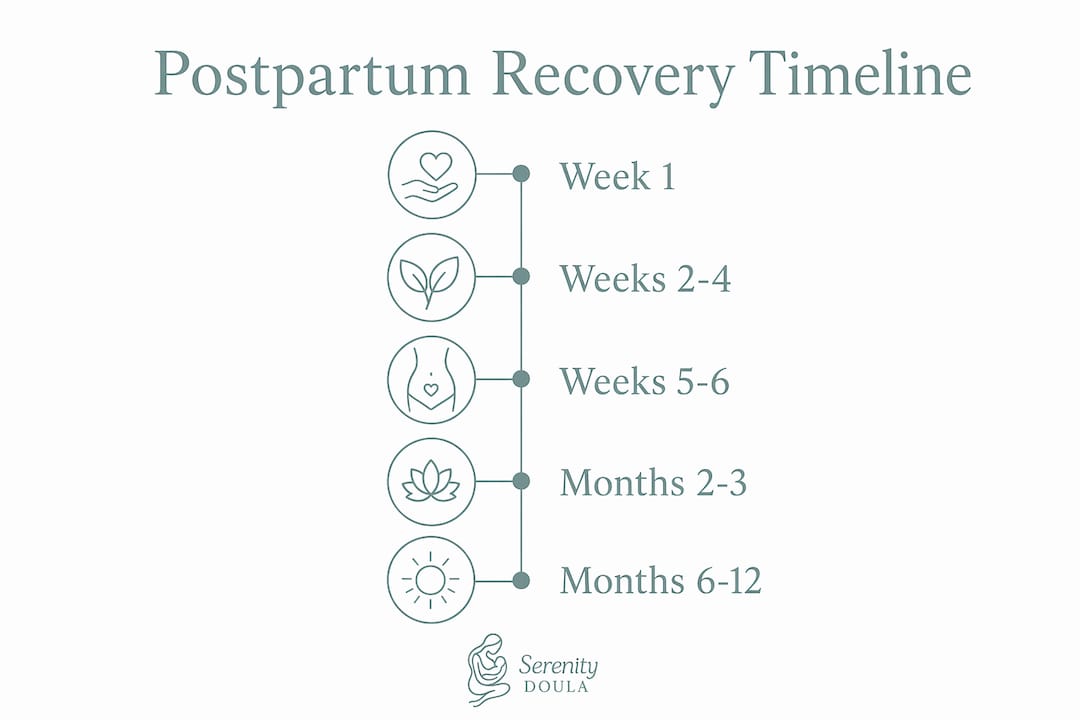 Infographic showing postpartum recovery timeline