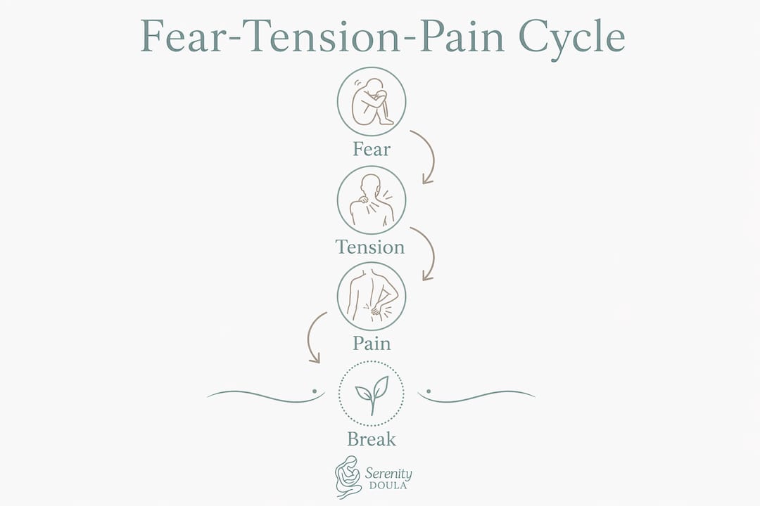 Infographic showing stages of fear-tension-pain cycle