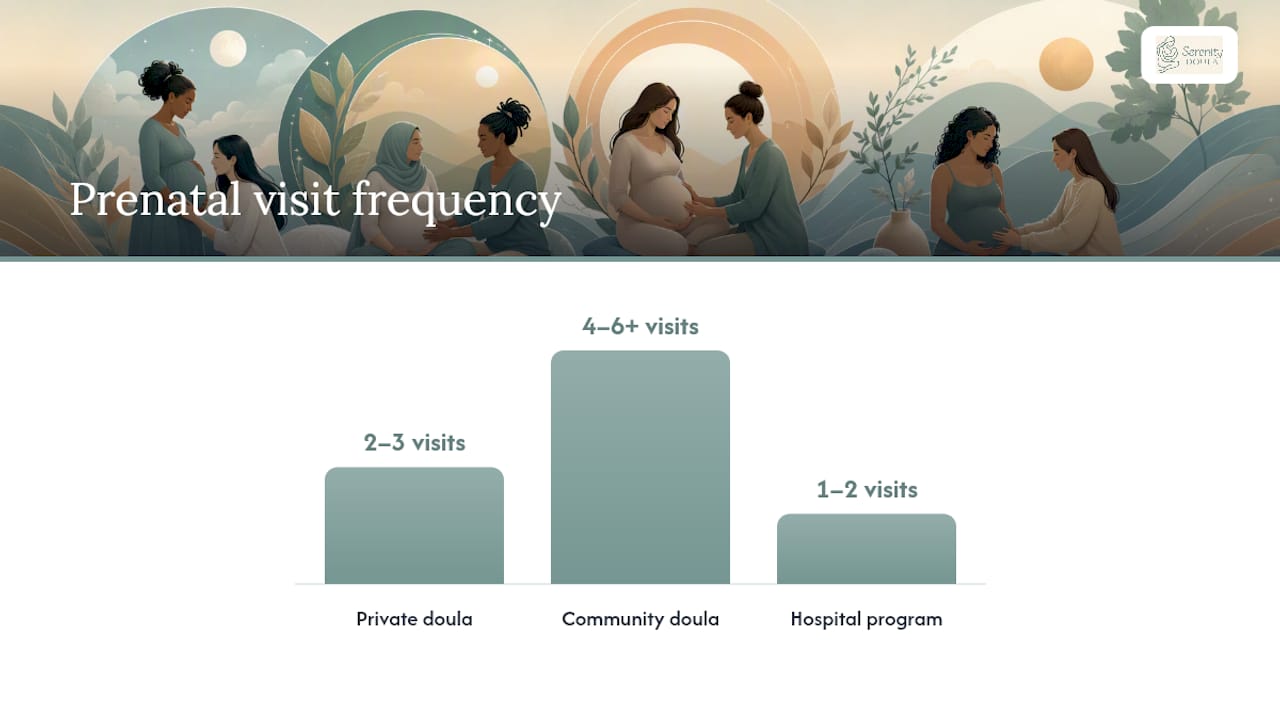 Diagram comparing doula service models