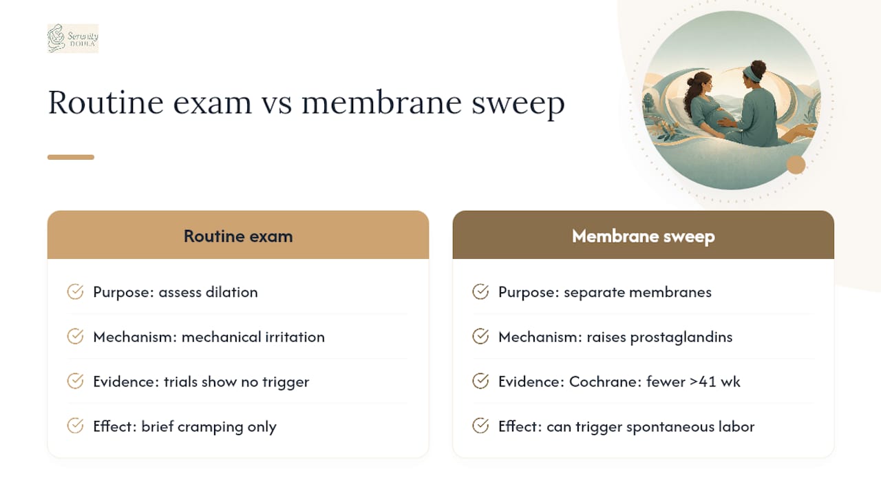 What Does the Research Actually Say About Checks and Contractions? — overview diagram