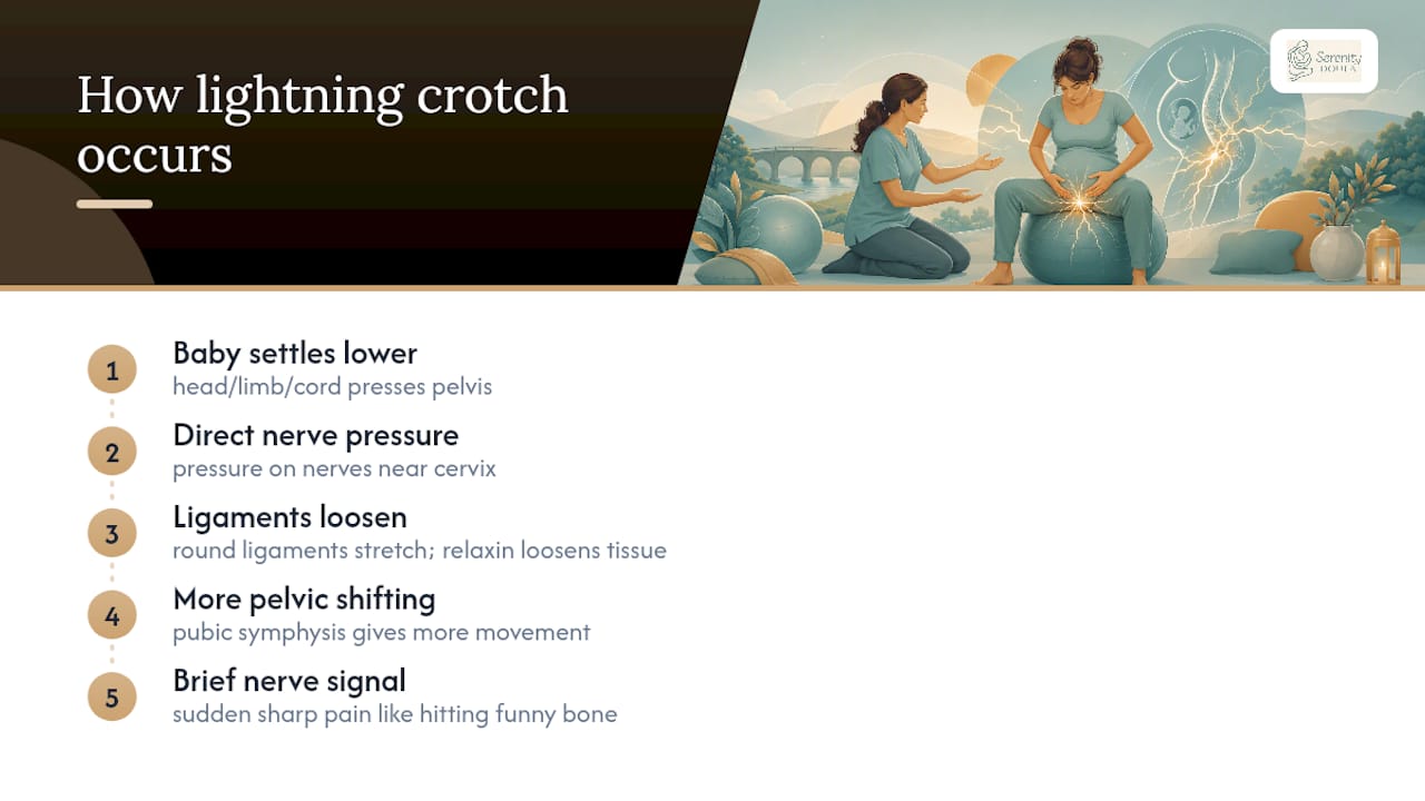 Diagram of pregnancy pelvic pain mechanisms