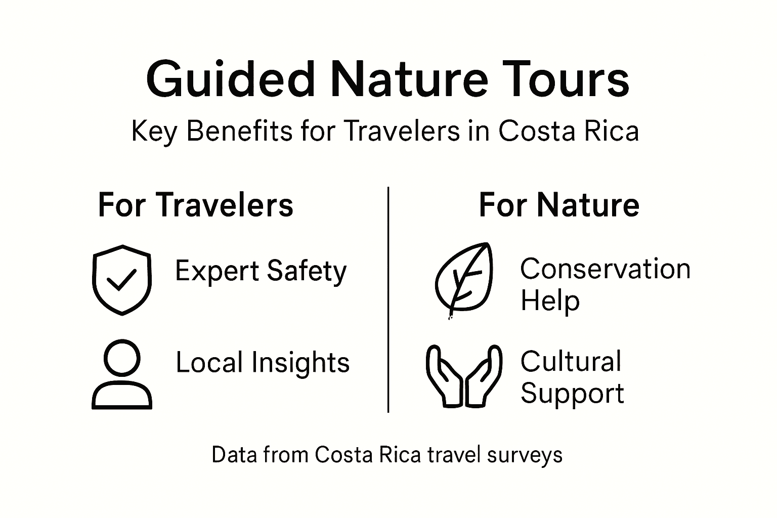 Infographic summarizing guided tour traveler benefits