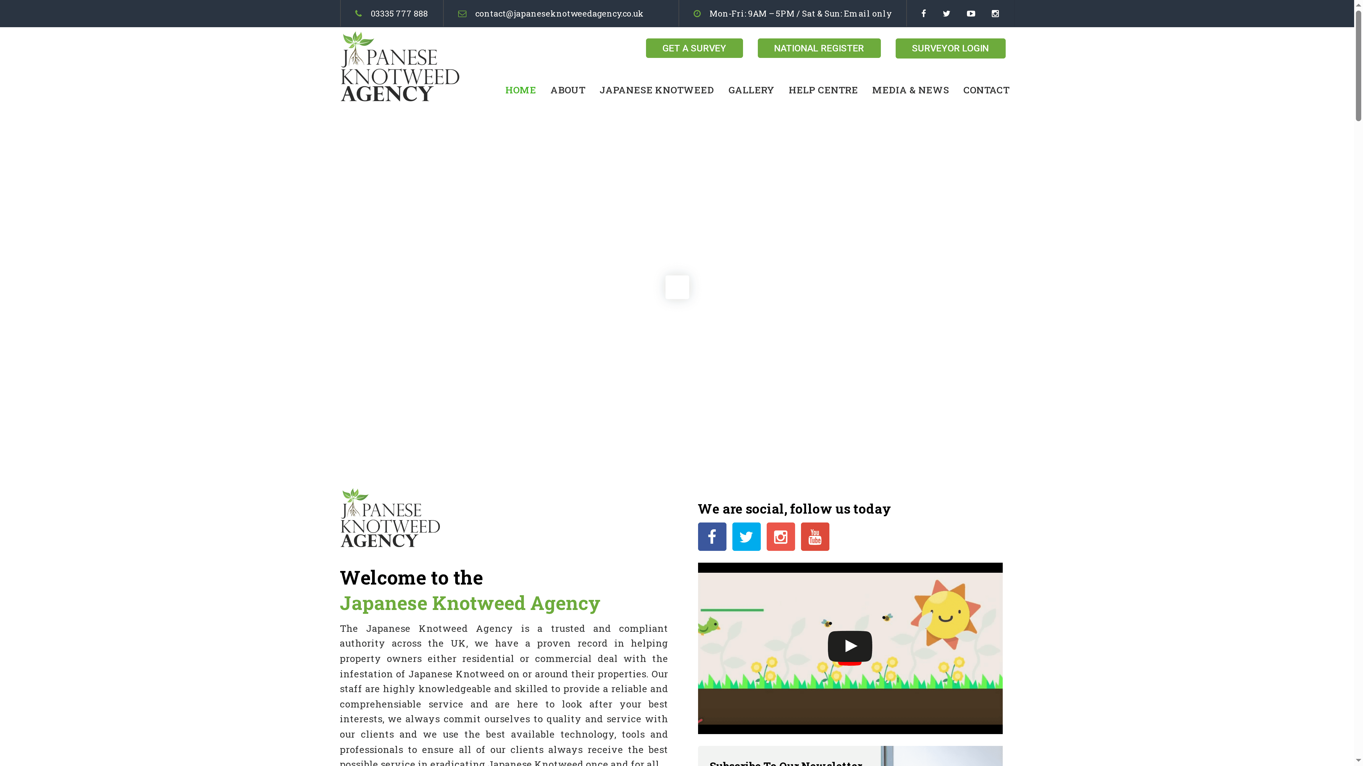 https://japaneseknotweedagency.co.uk
