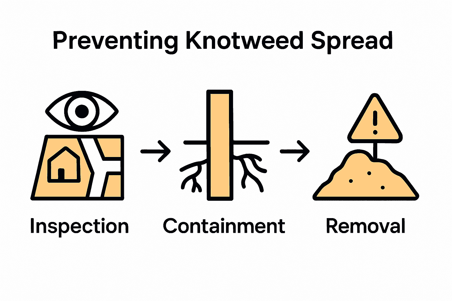 Infographic showing assessment, root barrier installation, and soil removal steps for knotweed control.
