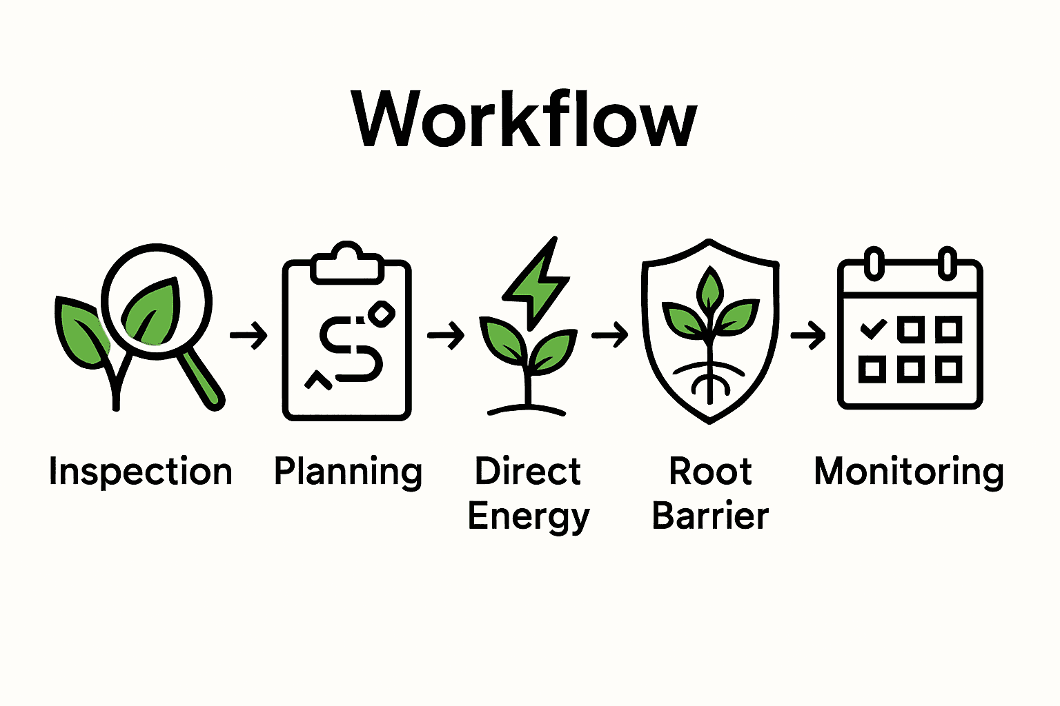 Infographic showing five-step chemical-free knotweed eradication workflow