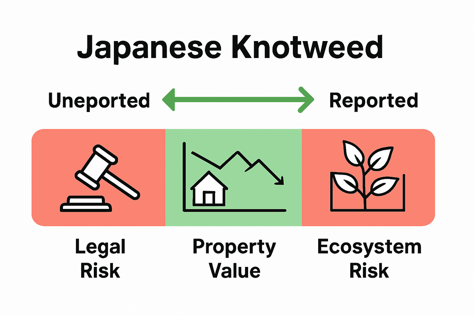 Infographic comparing impacts of reporting versus not reporting knotweed.