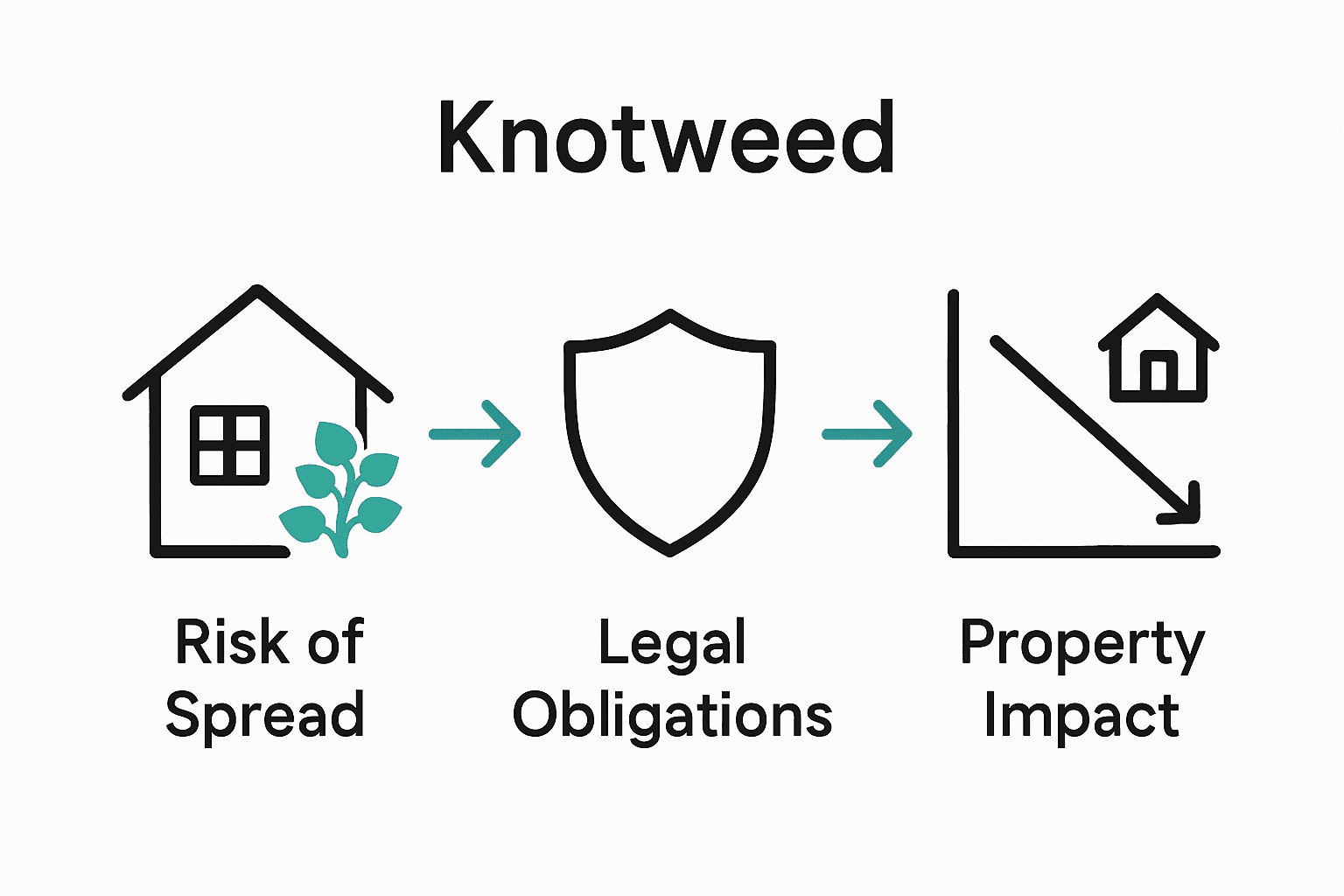 Infographic showing risk of knotweed spread, UK legal responsibilities, and property value impact.