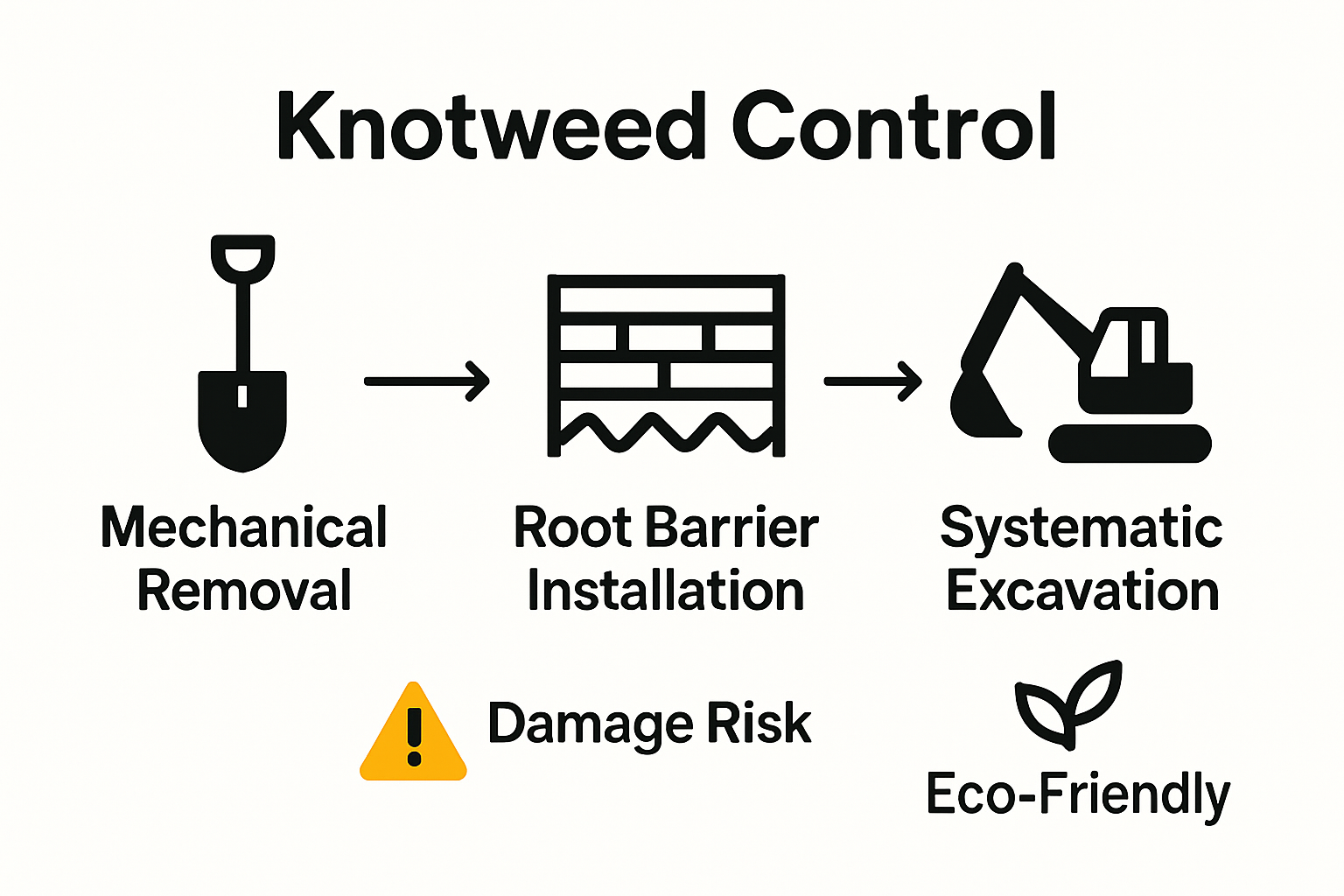 Non-chemical knotweed control methods infographic