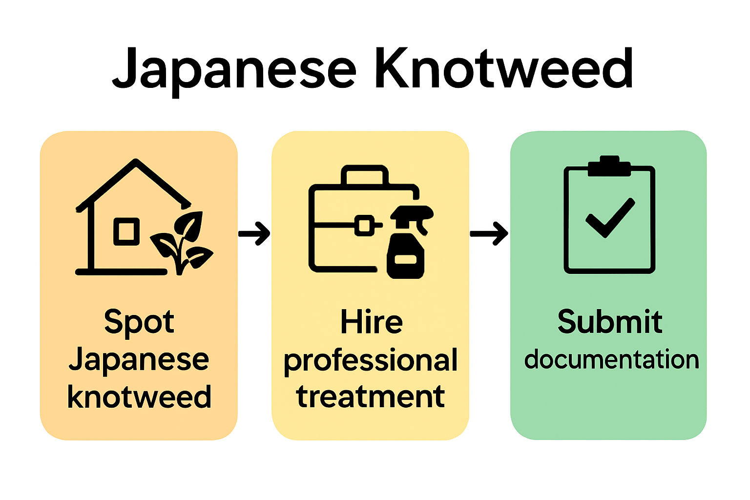 Infographic showing knotweed insurance claim process