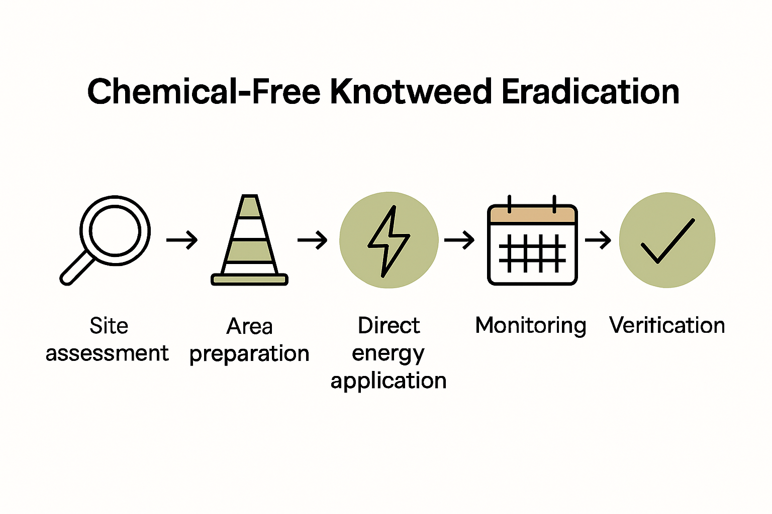 Five-step knotweed treatment process infographic