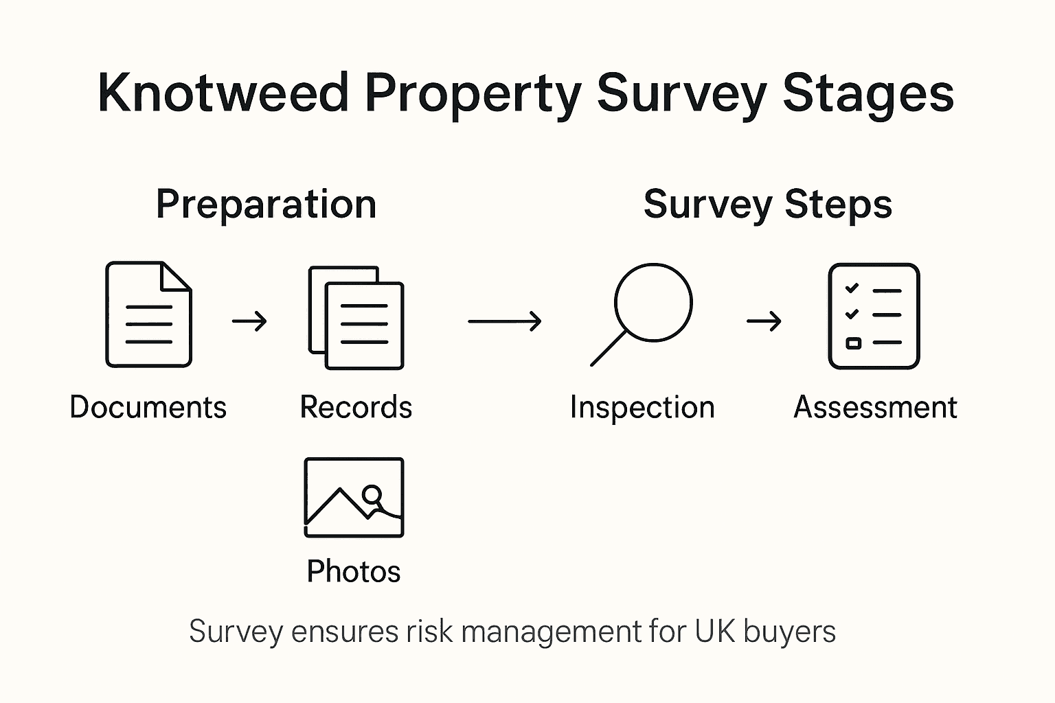 Infographic detailing knotweed survey stages