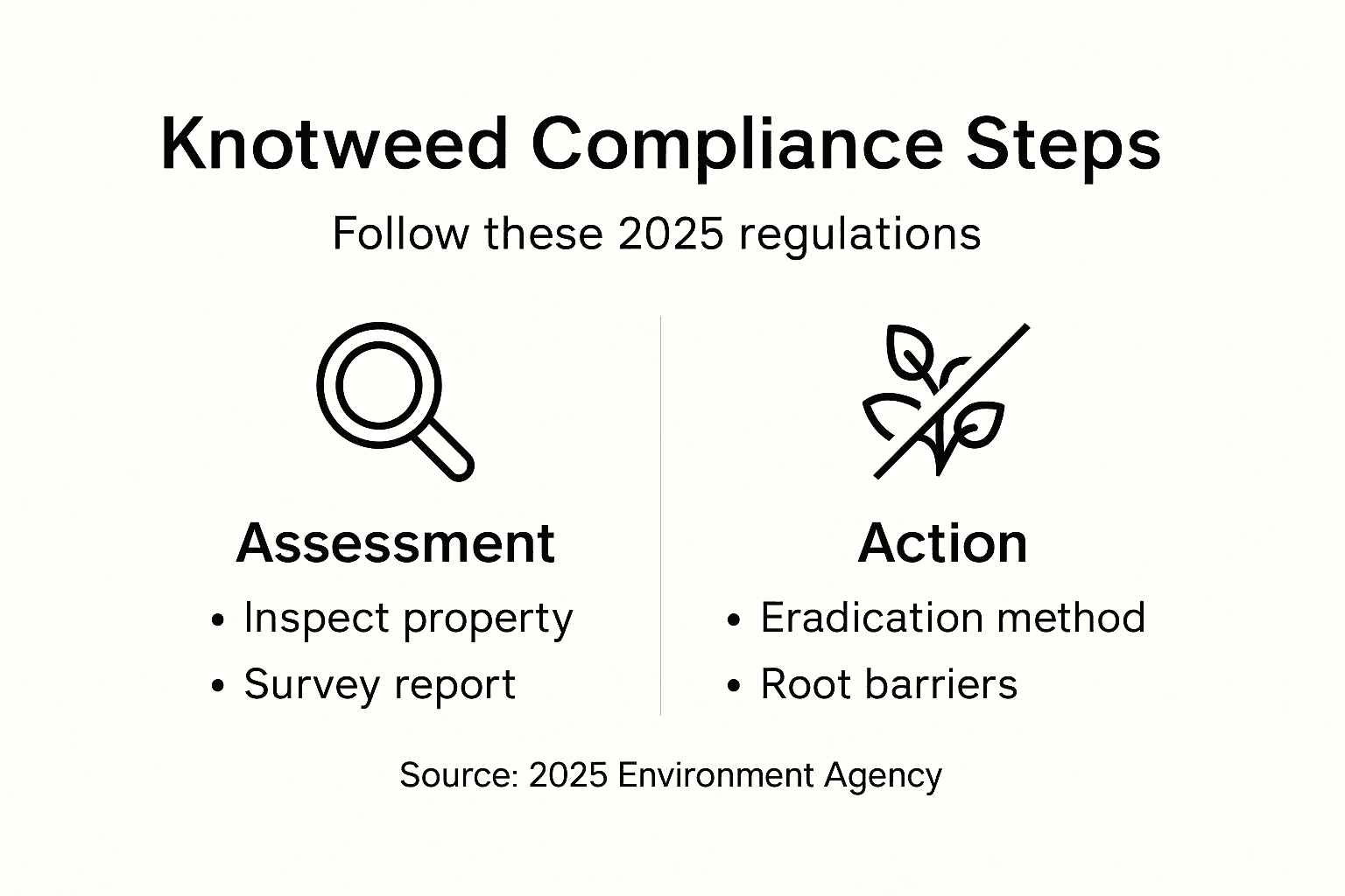 Infographic outlining knotweed compliance steps