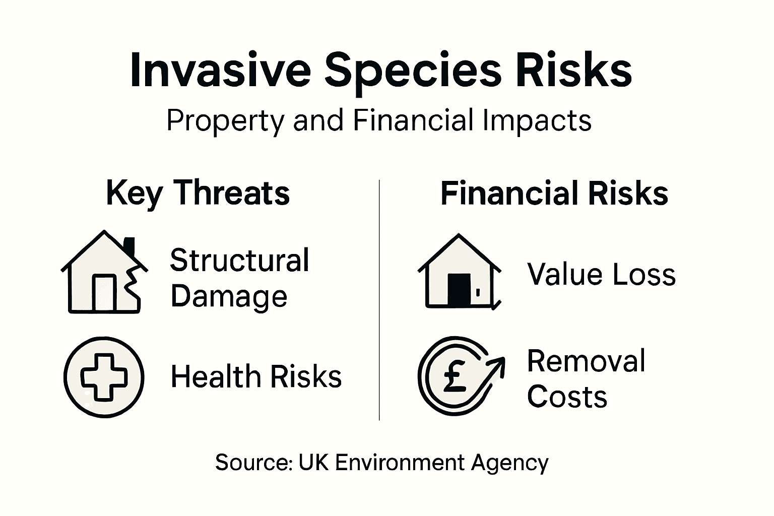 Infographic shows property and financial risks