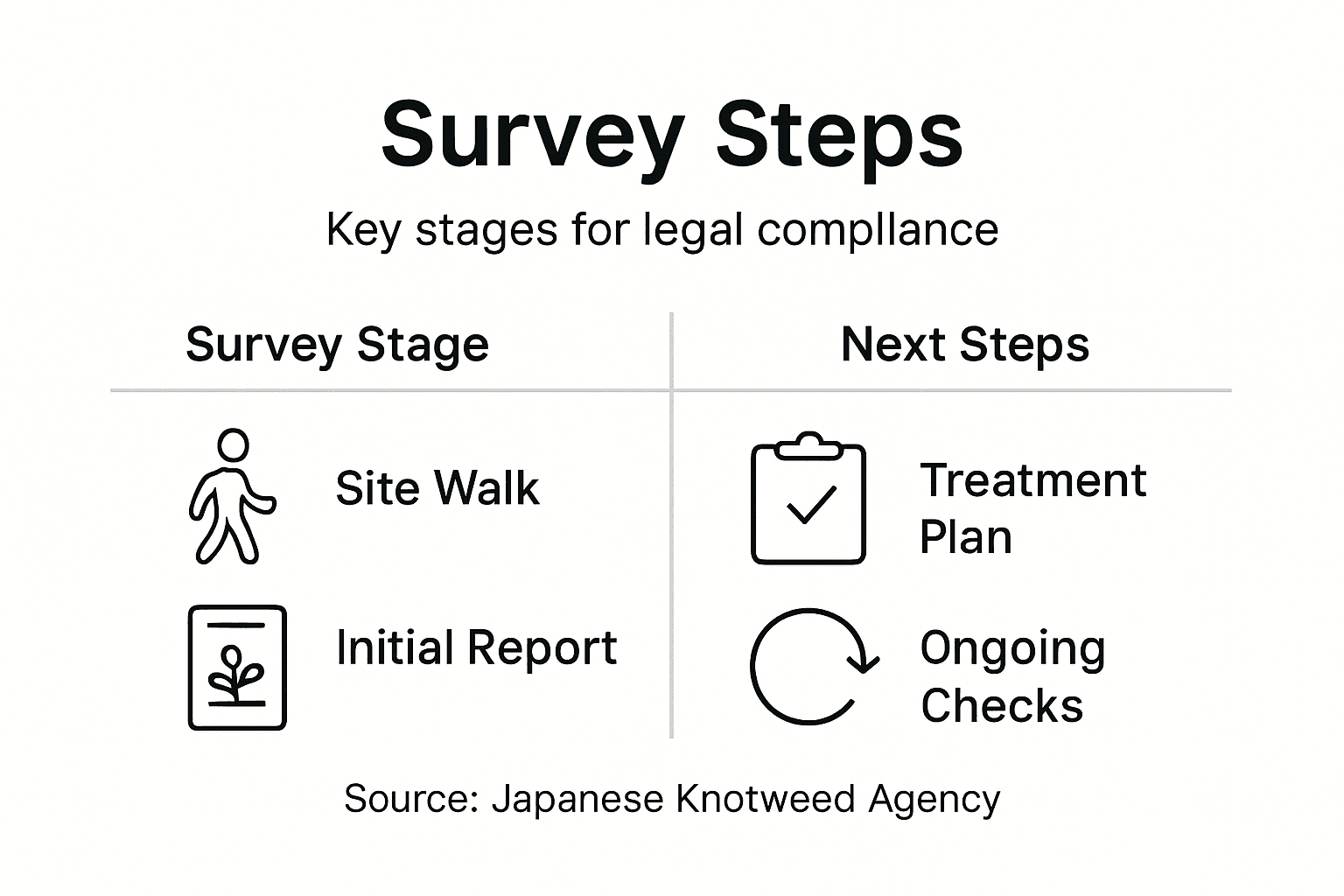 Infographic showing property survey key steps
