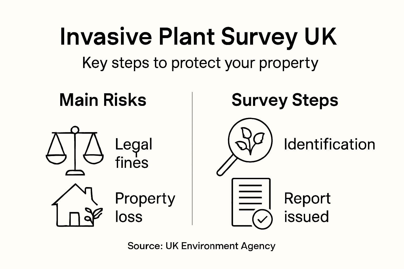Infographic showing invasive plant survey steps and risks