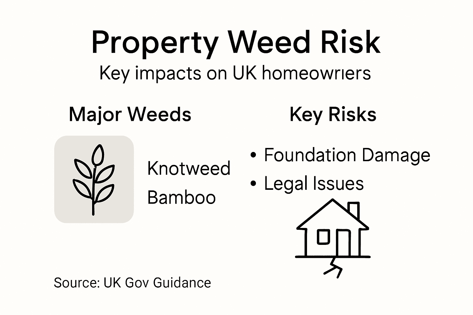 Infographic of property weed risks and consequences