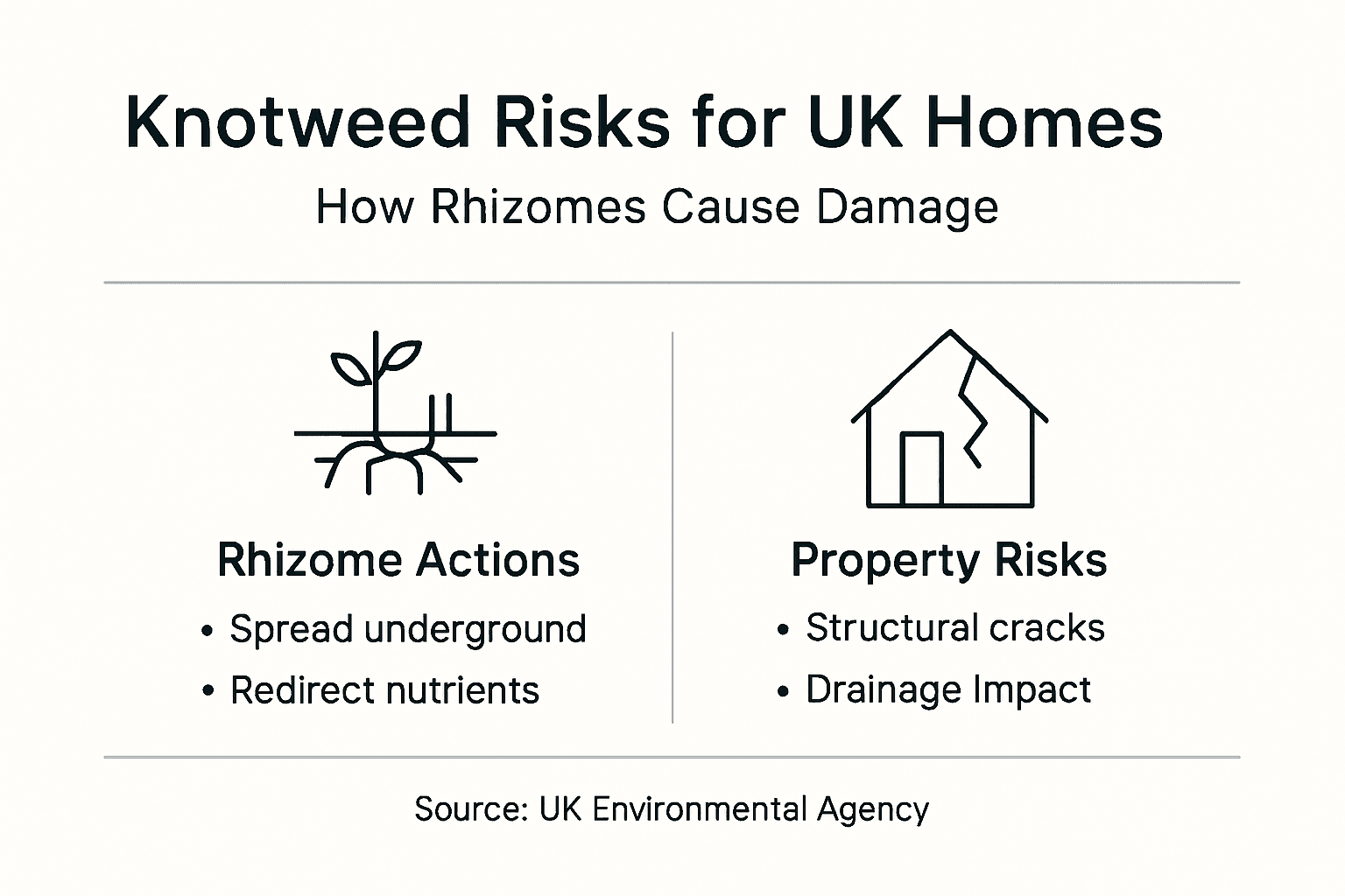 Infographic shows Knotweed risk mechanisms